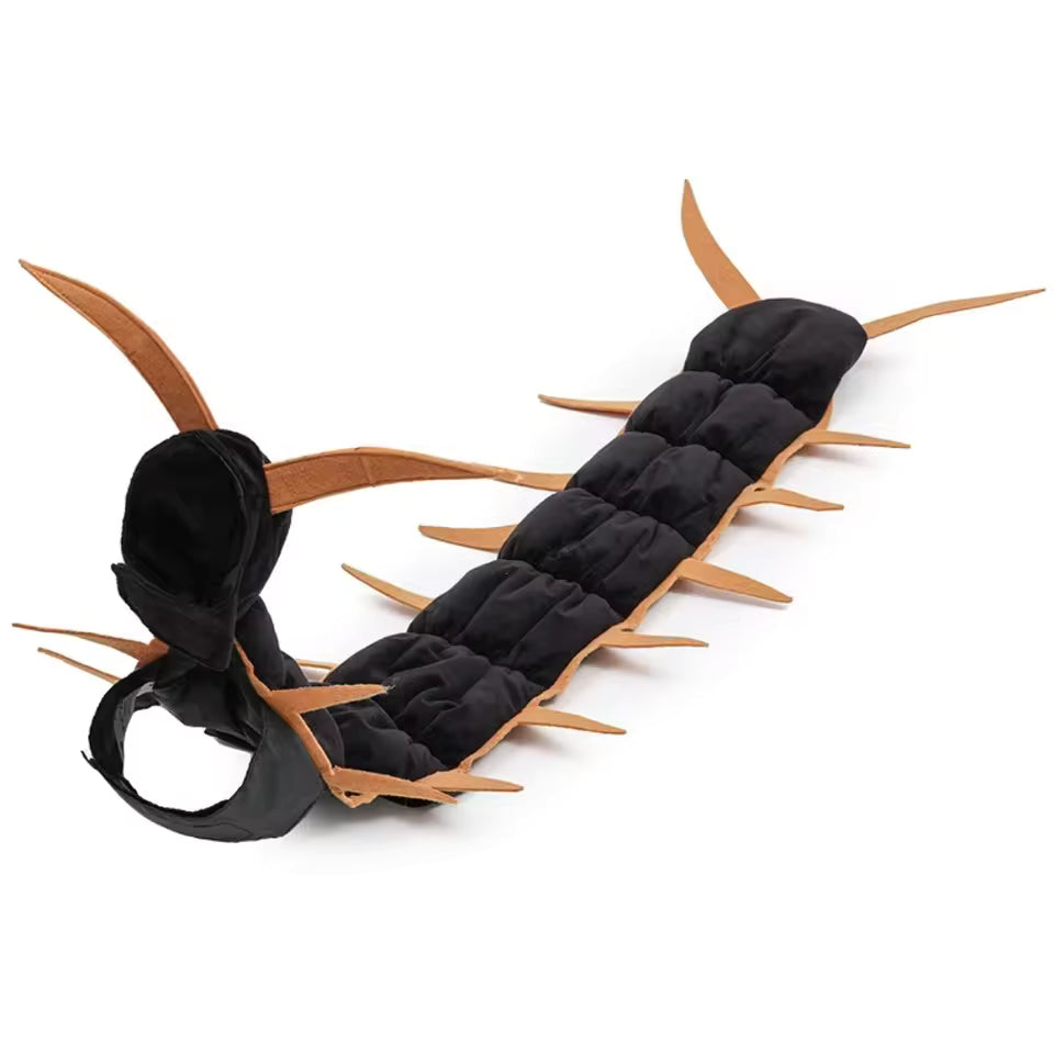 Creepy Crawly Cat Costume