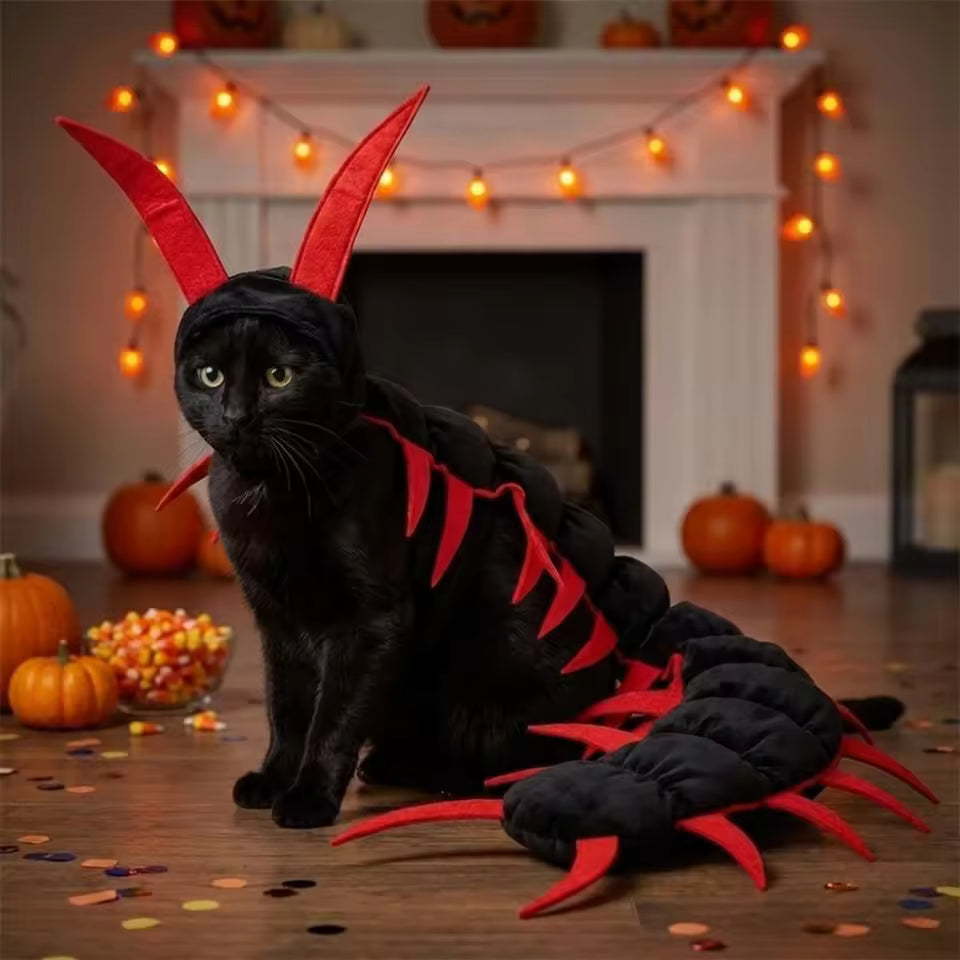 Creepy Crawly Cat Costume