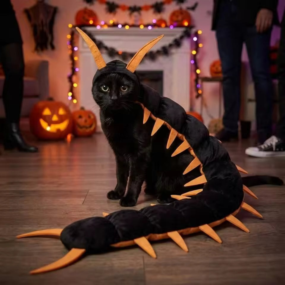 Creepy Crawly Cat Costume